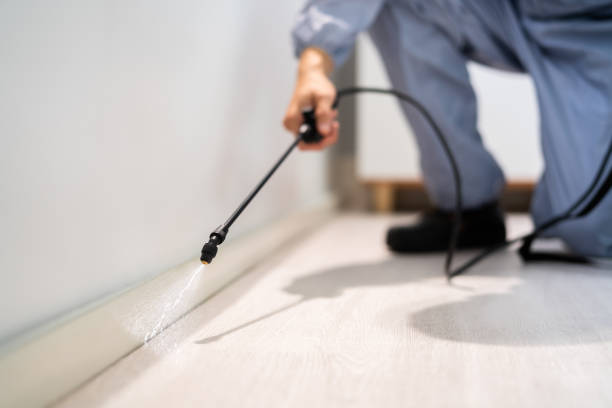 Licensed Pest Control service in Quanah, TX - Show Me Pest Control