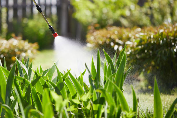 24/7 Emergency Mosquito Control experts in Quanah, TX