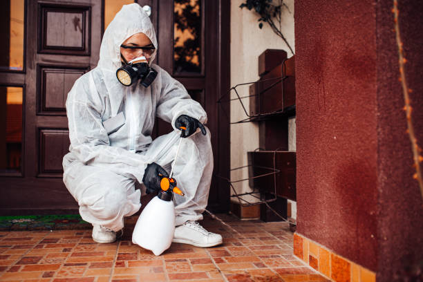 Reliable Mosquito Control contractor in Quanah, TX by Show Me Pest Control